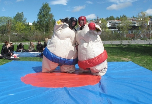 mhippa_i_strandparken_500